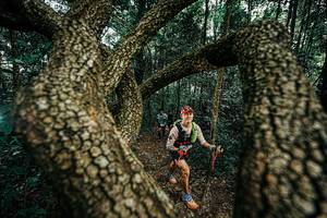 BIB: 
                            <button type="button" onclick="openModal(25394030)" class="btn btn-primary btn-sm float-right btn-popup" data-toggle="modal" data-target=".modal-high-quality">
                        <i class="fas fa-shopping-cart"></i> Add to Cart
                    </button>
                                            <button type="button" onclick="isThisMe(25394030, true)" class="btn btn-success btn-sm float-right btn-popup btn-isme hidden" data-toggle="tooltip" data-placement="bottom" title="นี่คือรูปของคุณใช่ไหม คลิกที่นี่เพื่อเอาเข้าอัลบั้ม">
                        <i class="fas fa-plus"></i> Add to album
                    </button>
                    <button type="button" onclick="isThisMe(25394030, false)" class="btn btn-warning btn-sm float-right btn-popup btn-isnotme hidden">
                        <i class="fas fa-ban"></i> Remove from album
                    </button>